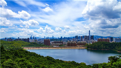 寻找上海的品茶之旅
